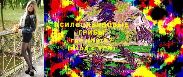 прущий лед Алексин