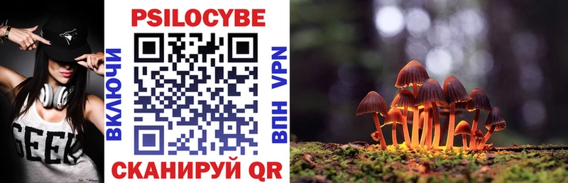 Галлюциногенные грибы Psilocybine cubensis  ссылка на мегу ссылка  Бакал 
